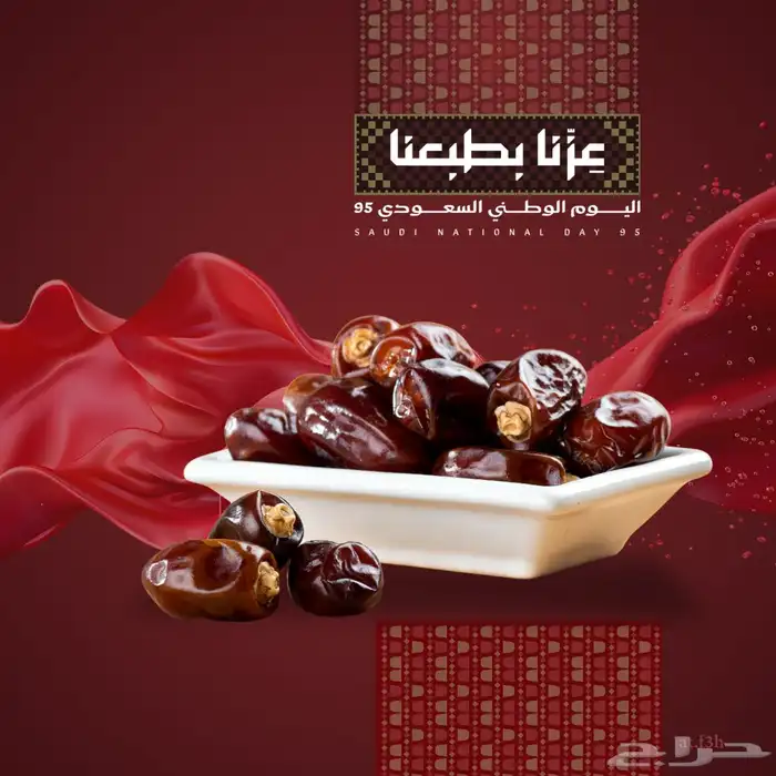 مصممة جرافيك 5
