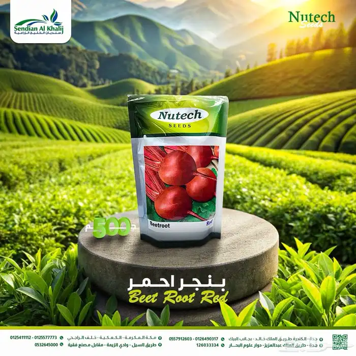 مصمم جرافيك 4