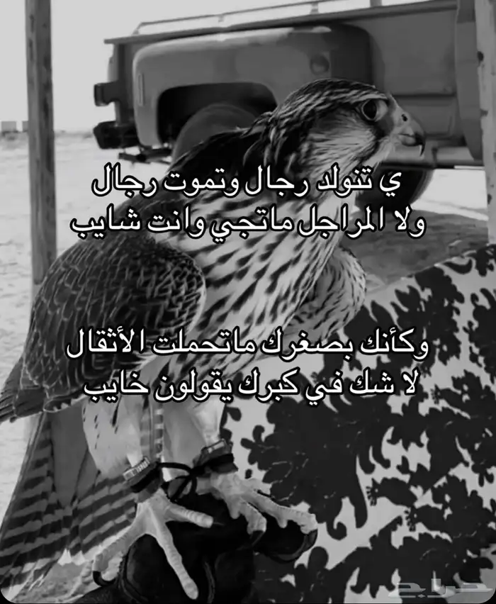سطحه نقل السيارات ب الرس (وباقي مناطق القصيم)   ا 3