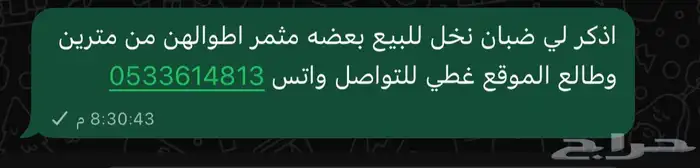 ضبان نخل القريات احجام طيبه وبعضها مثمر 0