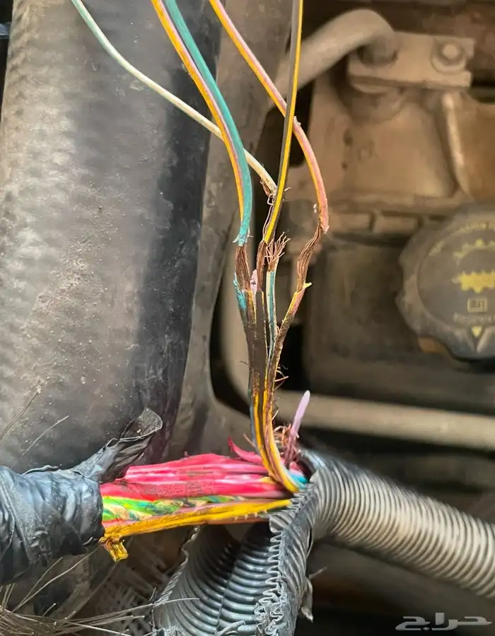كهربائي و برمجة سيارات 3