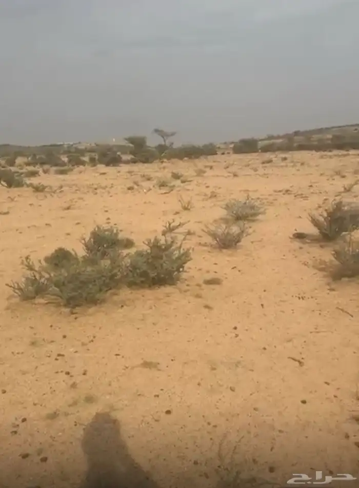 ارض للبيع ضاحية العرفاء 0