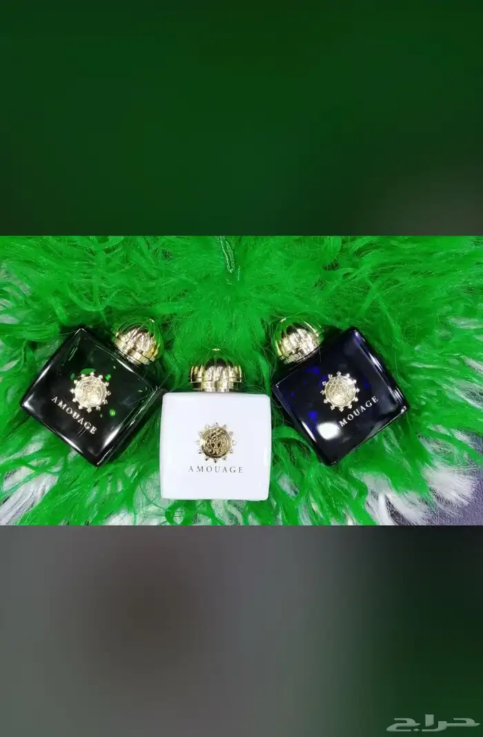نوفر جميع انواع العطور الاصليه والوسطيه باسعار مناسبه 71