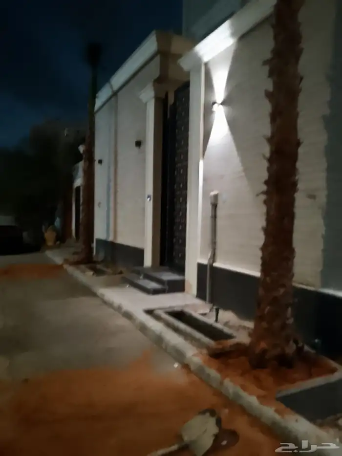 نخيل واشنطونيا للبيع بجميع انواع المقاسات 3