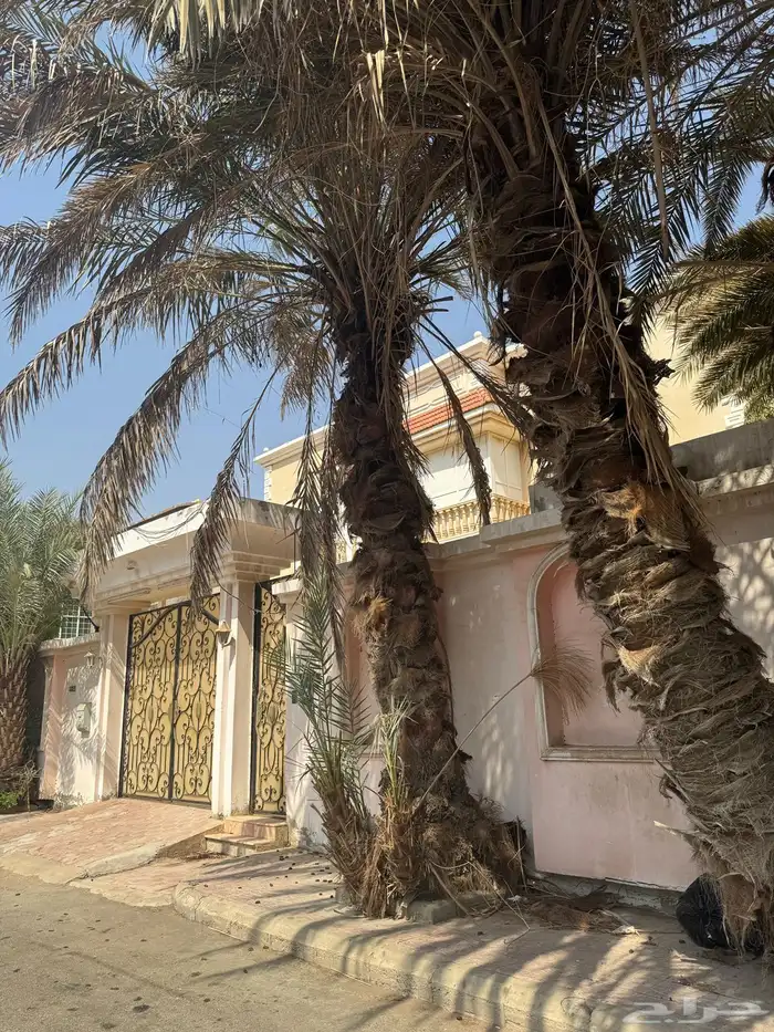 فيلا للبيع حي المحمدية 0