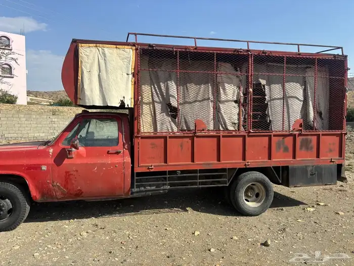 جمس 86 شده نحل 1