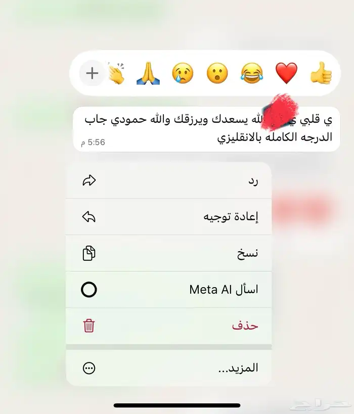 معلمه خصوصيه 2