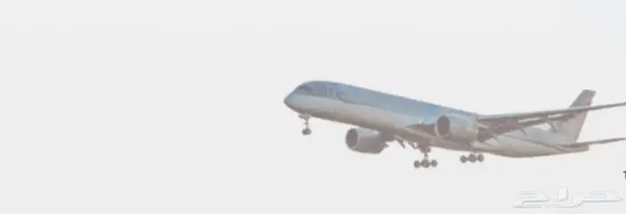 تذكرة طيران 0