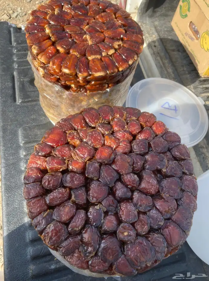 برني وكعيمر العيص حبه فاخه 1