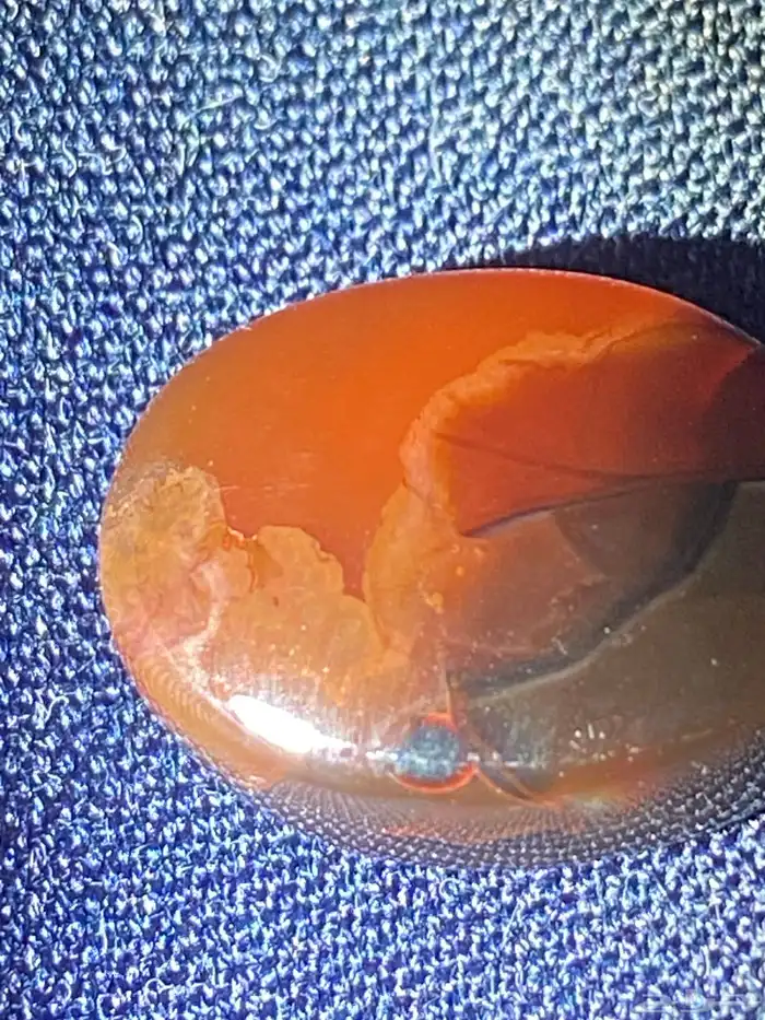 احجار كريمه عقيق احمر زعفراني 0