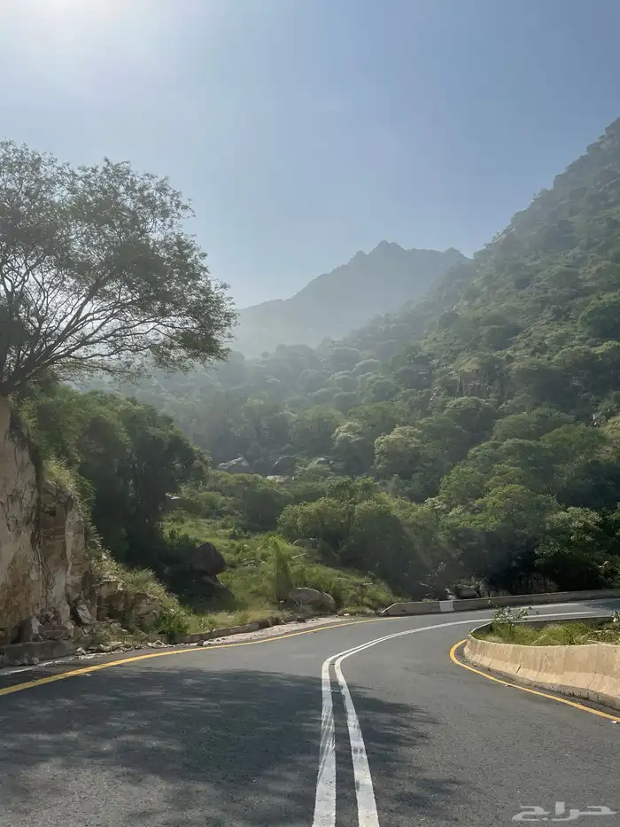 توصيل معلمات من صامطة الى جبل سلا والعباسية 2