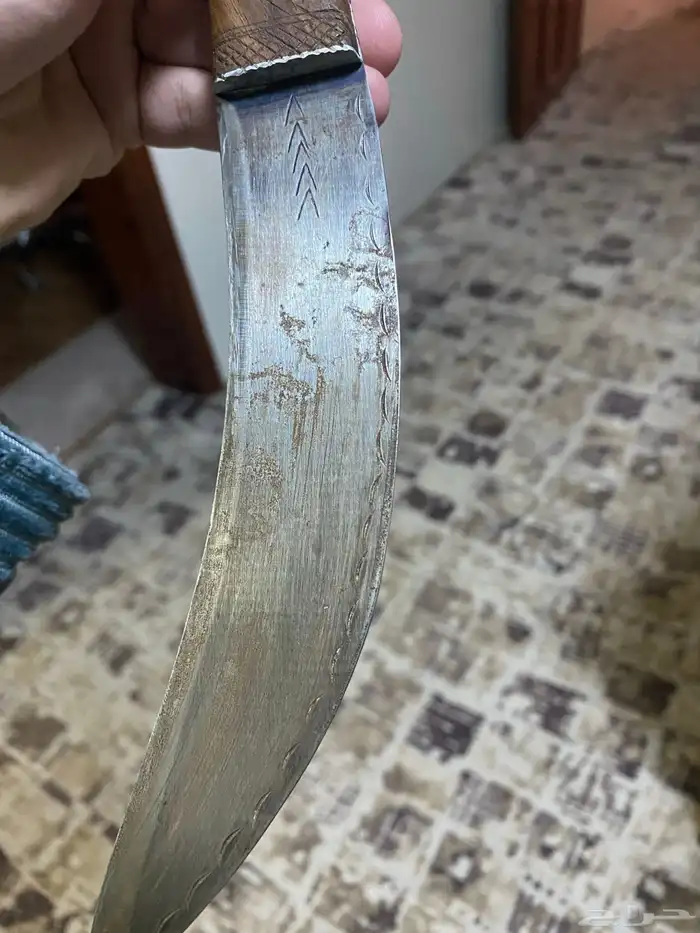 شفرة ايطالية بحزامها 3