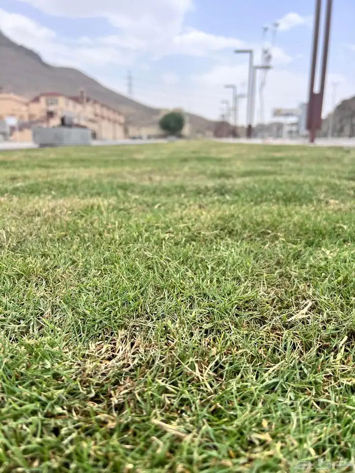 زراعه وحدائق وشبكات ري 16