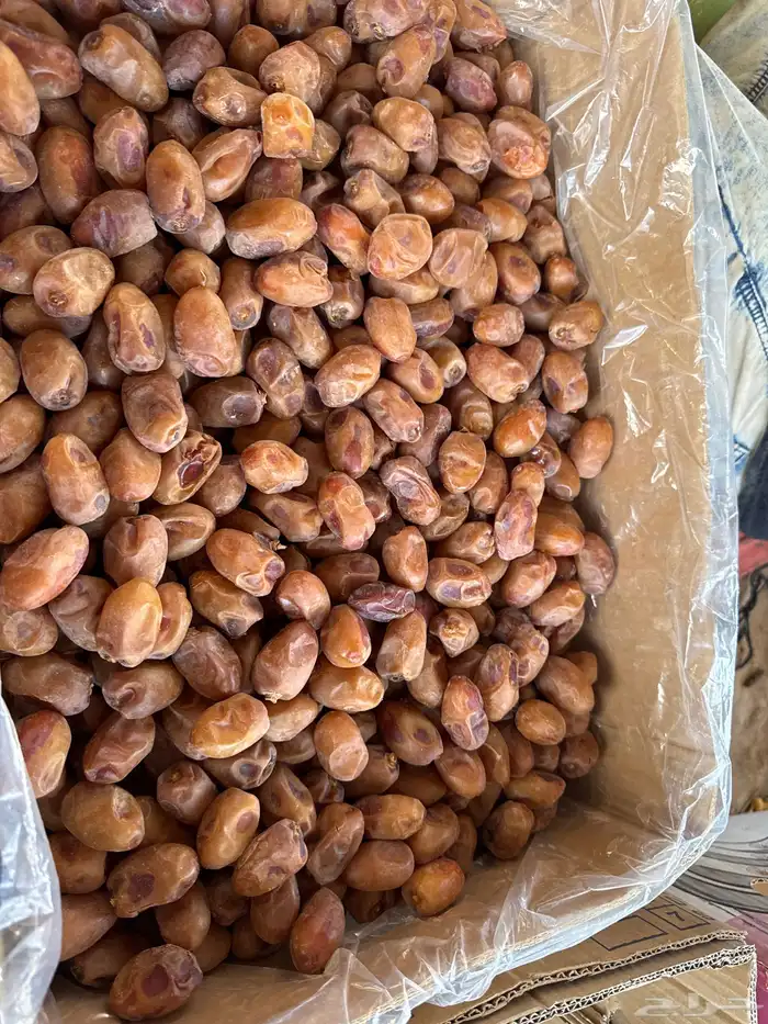 تمور خلاص ناهي ومشكلات 1