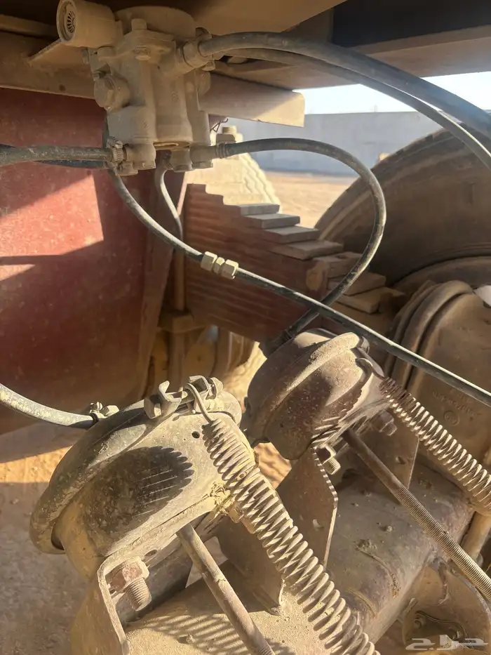قاعده 16 بيبي 2
