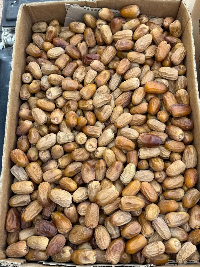 تمر صقعي 1