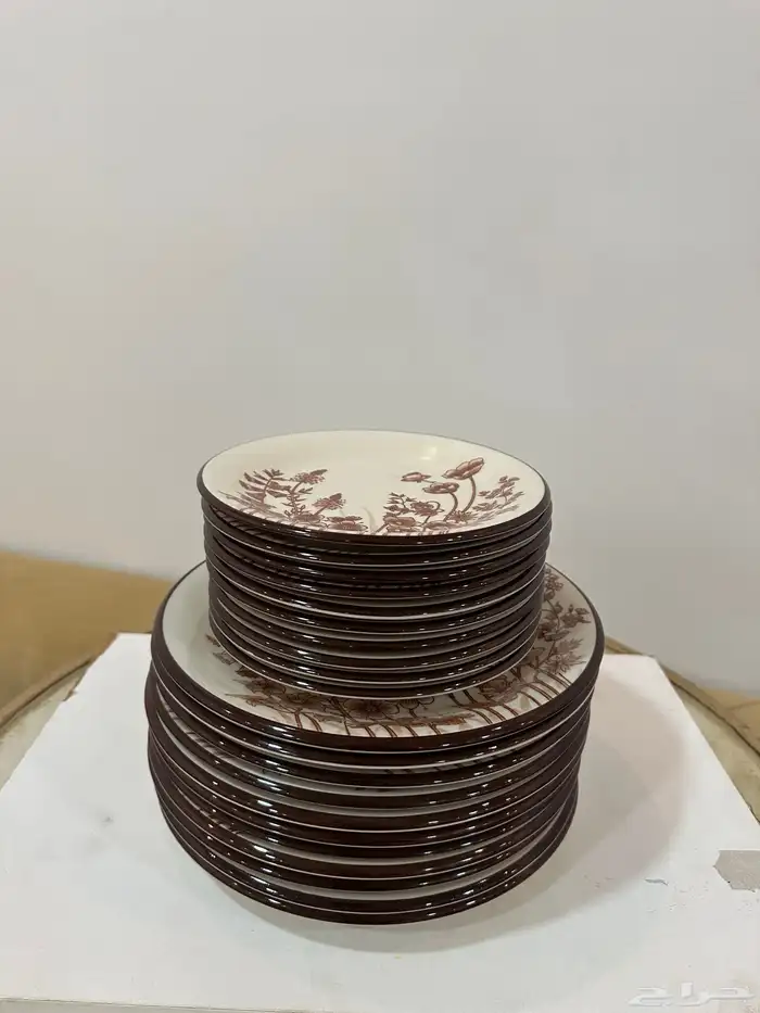 صحون نوادر 0