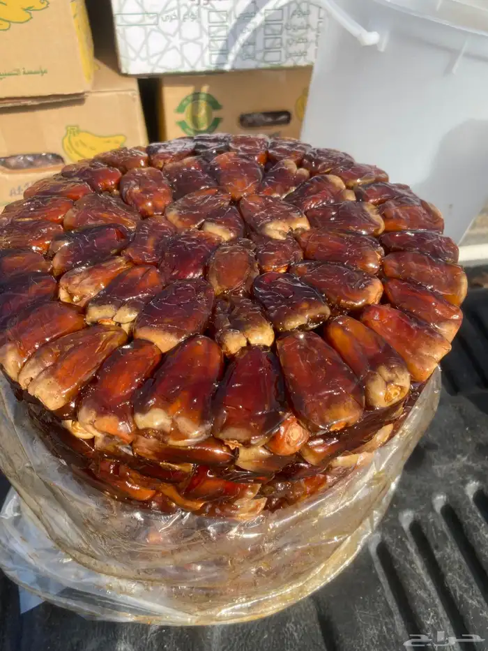 برني وكعيمر العيص حبه فاخه 0