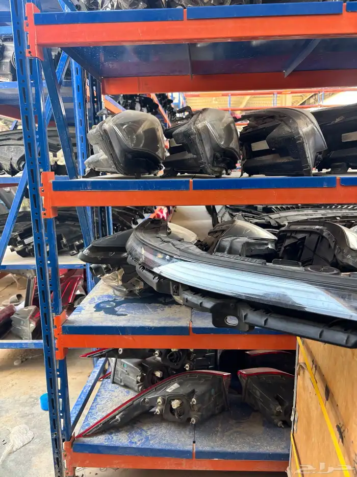 نور لد ازيرا 2024-2025 9