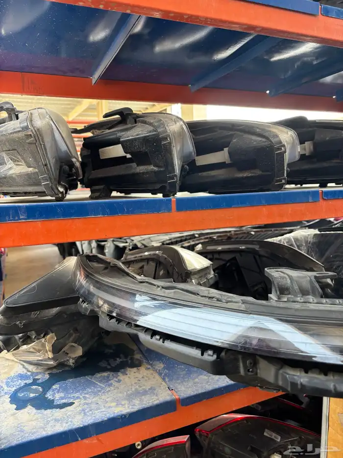 نور لد ازيرا 2024-2025 1