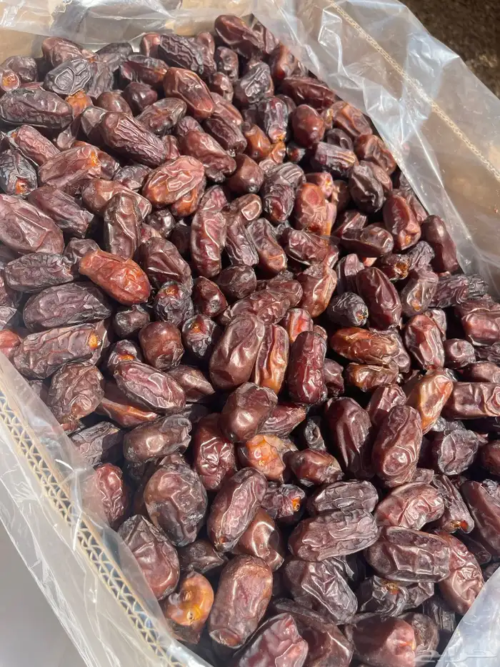 تمر خضري فله فاخر وطيب انتاج الموسم الحالي 2