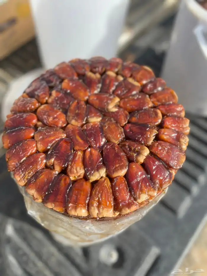 برني وكعيمر العيص حبه فاخه 2