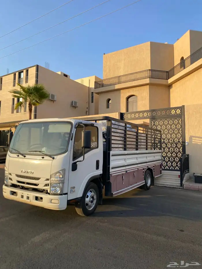 ديانة مديل2023 2