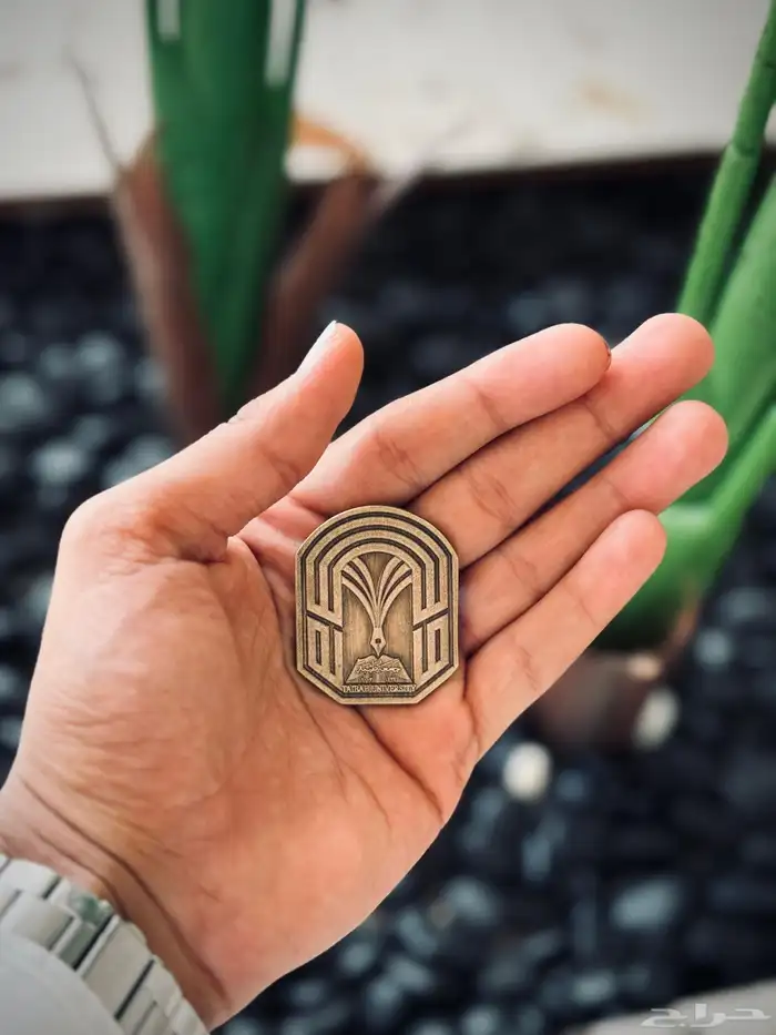 تفصيل دروع وبروشات 22