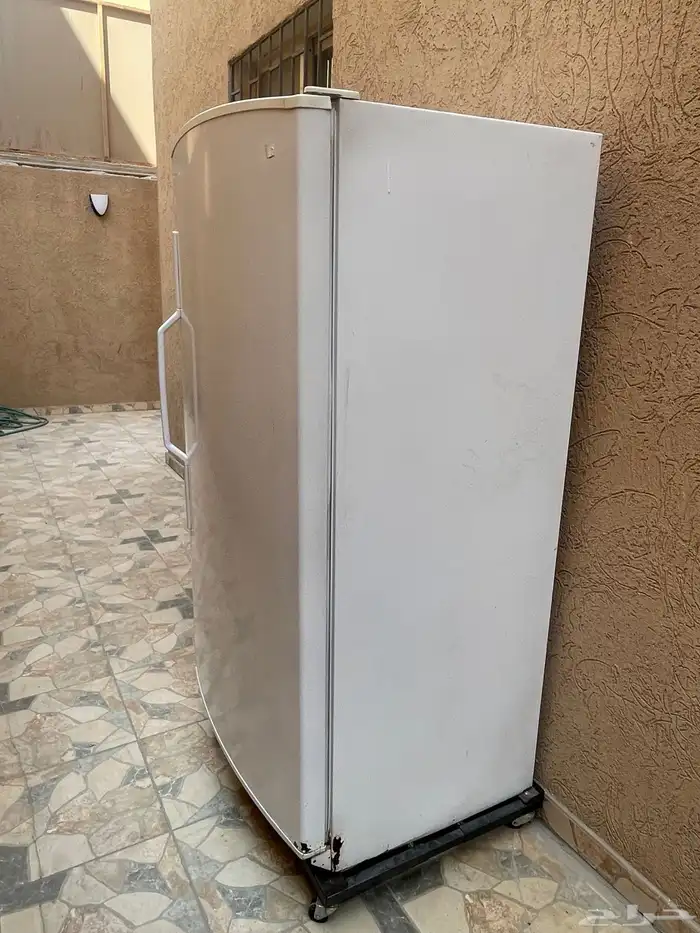 فريزن ثلاجه 1