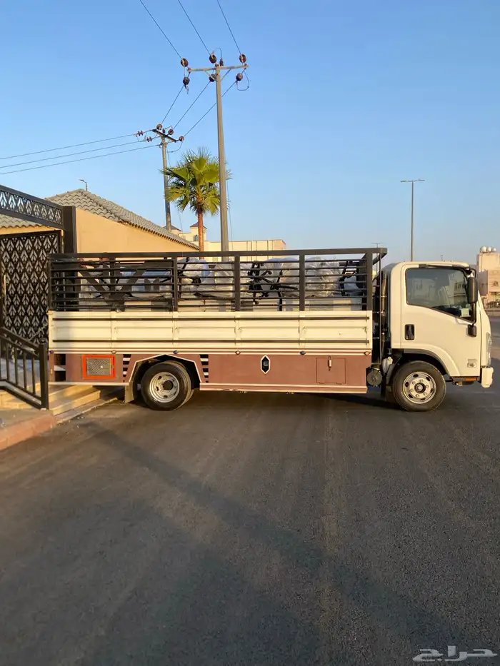 ديانة مديل2023 8