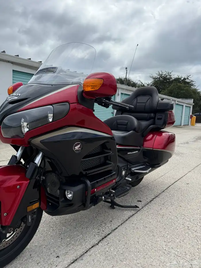 قولد وينق 2015 11