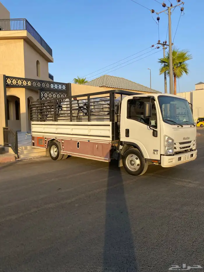 ديانة مديل2023 0