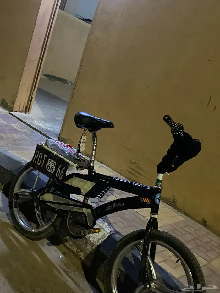 رامبو نضيف مايشكي من شي اول مالك له وكاله مايجي إلا الصامل 1