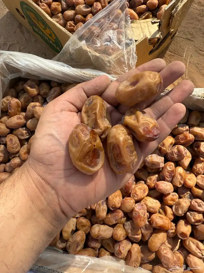 خلاص ملكي 0