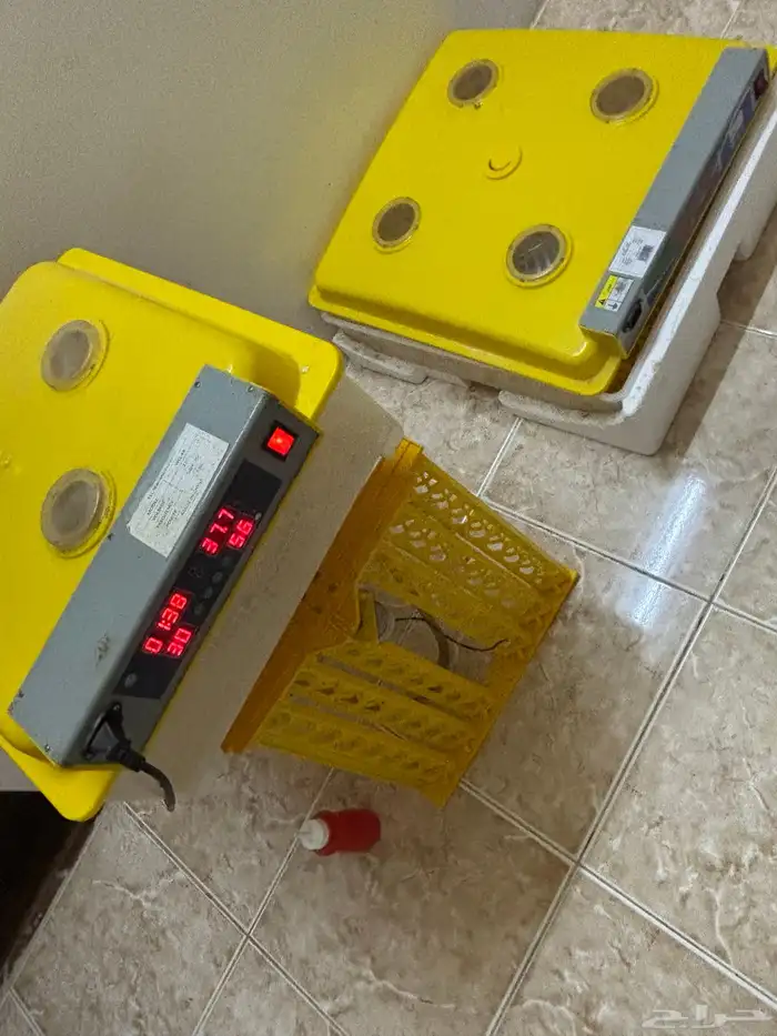 فقاصات اتماتيك 3