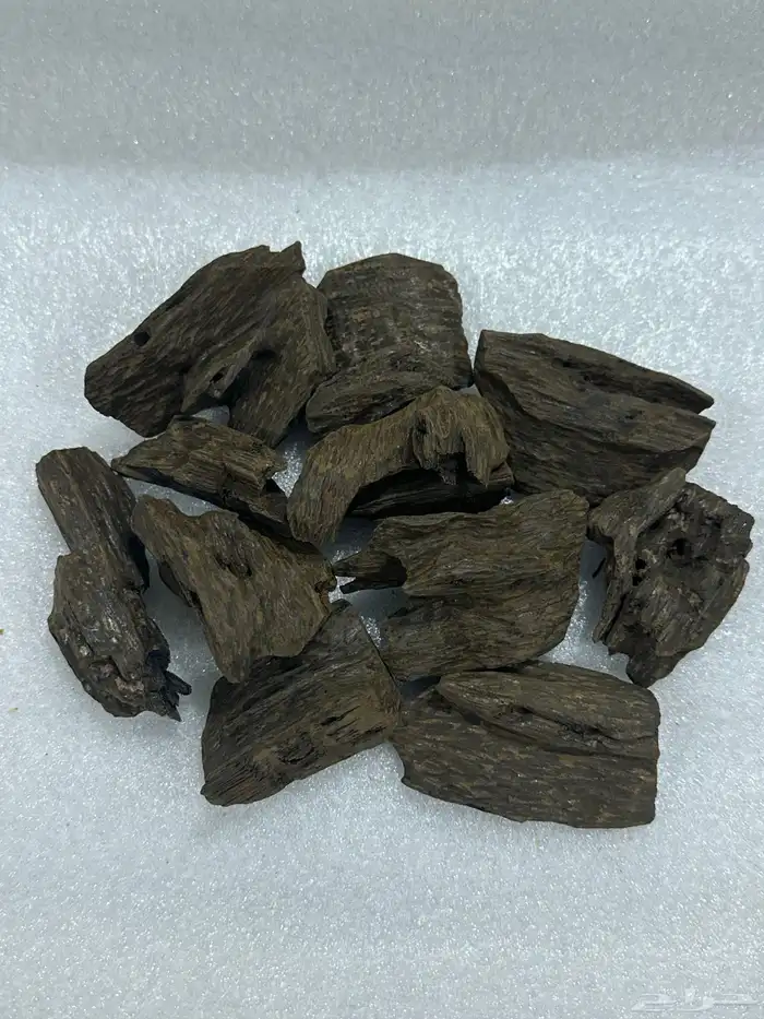 مزاد فاخر من الاخر وينتهي في تمام الساعة 1 ظهرا 0