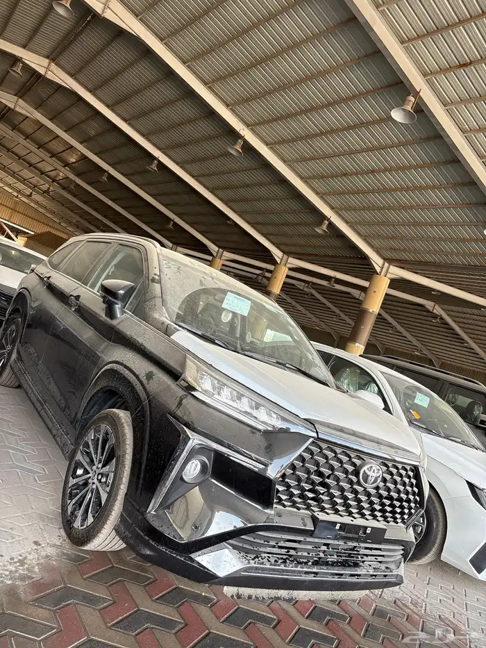 فيلوز 2025 3