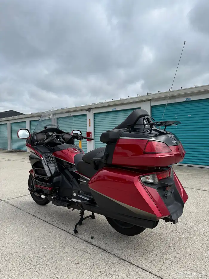 قولد وينق 2015 4