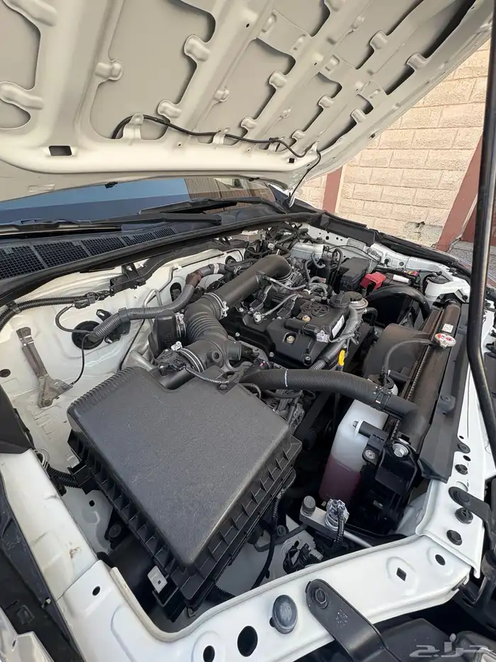 فورشنر 2017 32