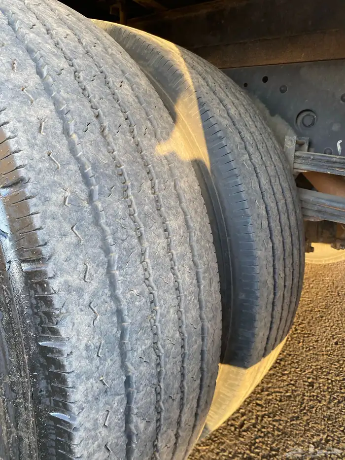 ديانة مديل2023 11