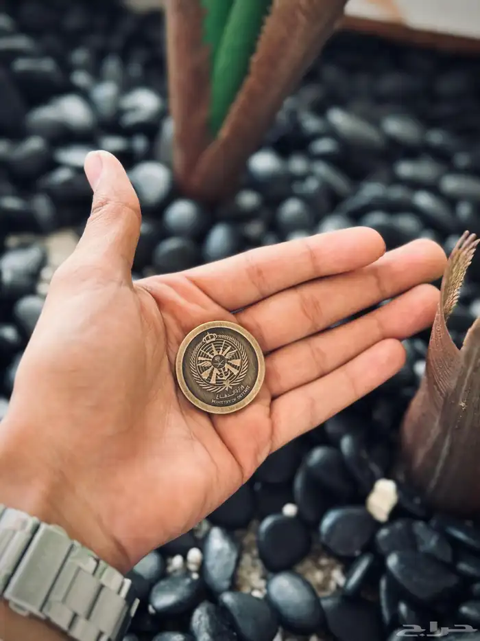 تفصيل دروع وبروشات 17