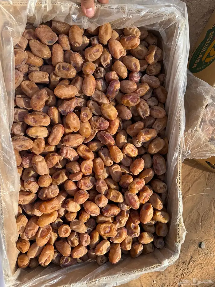 خلاص ملكي 2