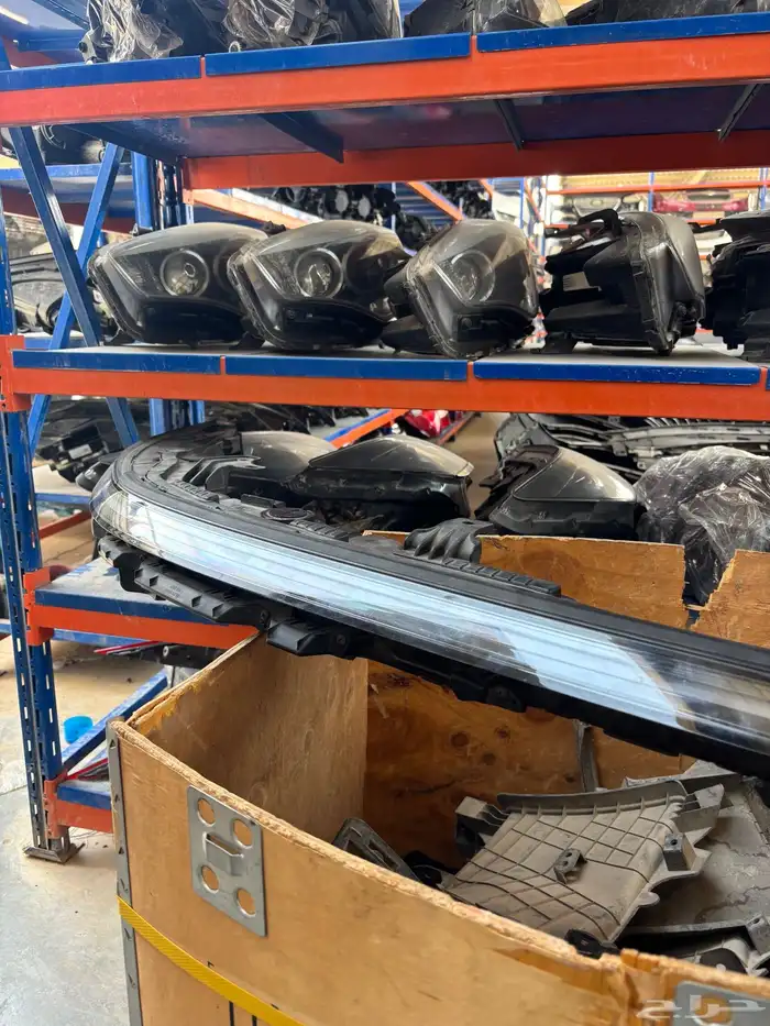 نور لد ازيرا 2024-2025 8