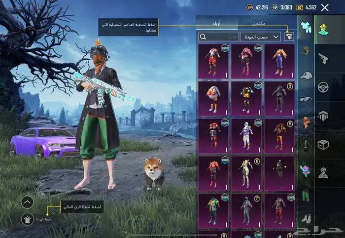 حساب ببجي للبيع 8