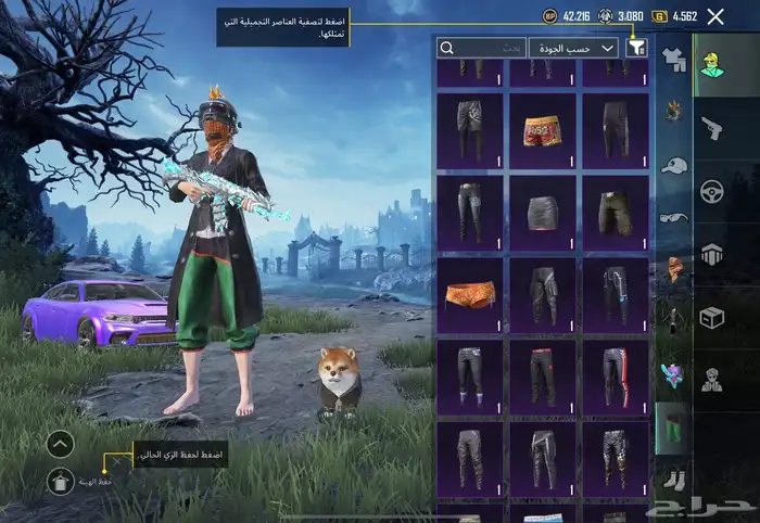 حساب ببجي للبيع 42