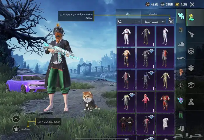 حساب ببجي للبيع 13