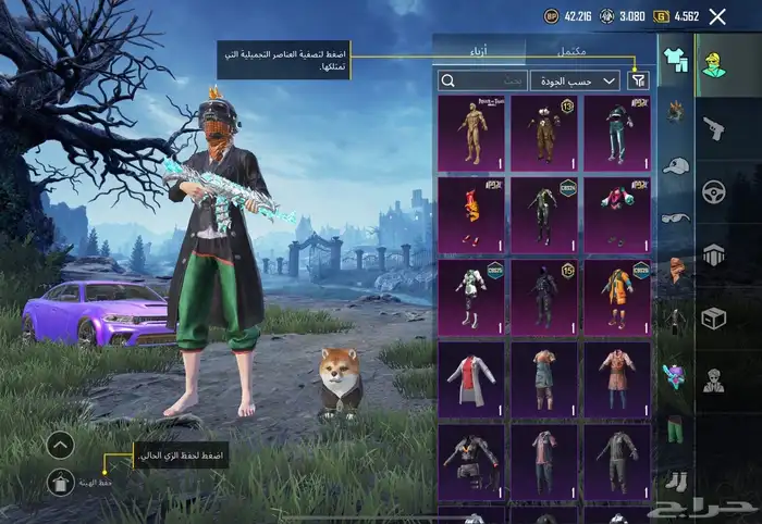 حساب ببجي للبيع 10