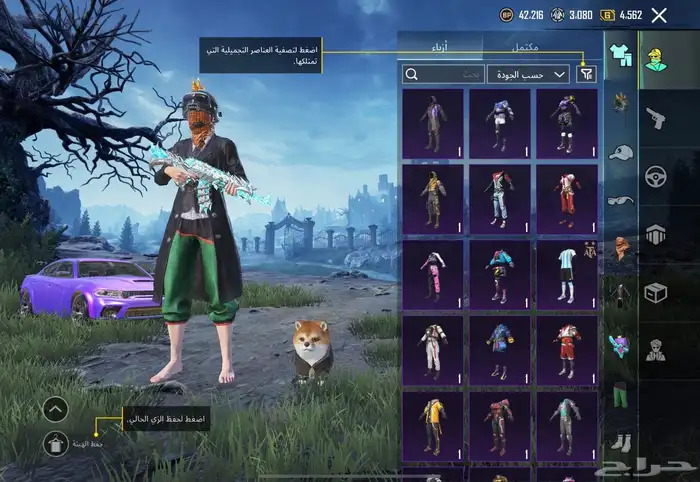 حساب ببجي للبيع 17