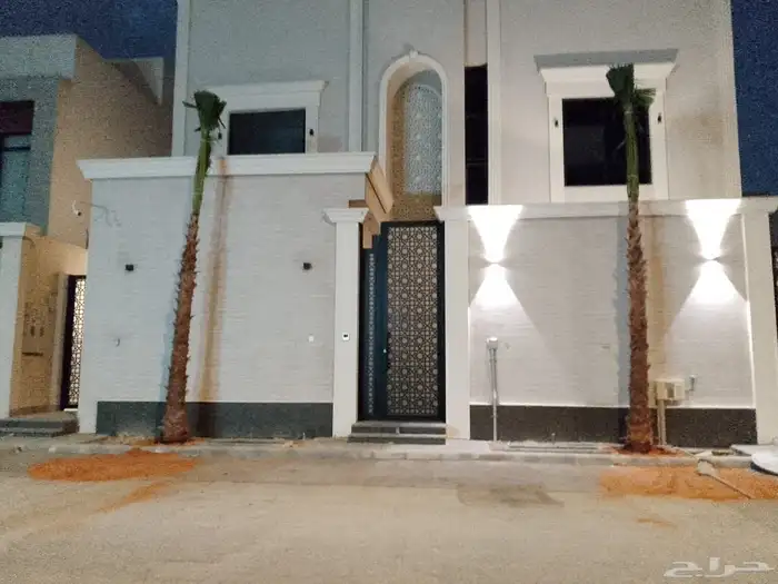 نخيل واشنطونيا للبيع بجميع انواع المقاسات 2