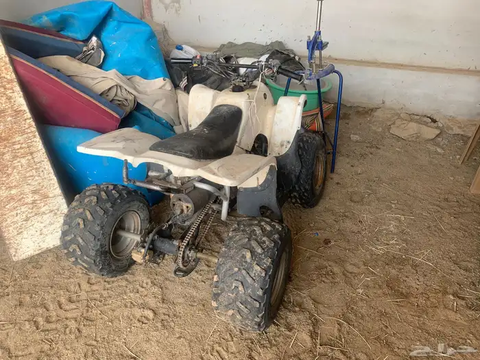 دباب 1